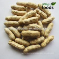 Chinese Wholesale Roasted Peanuts ,Wholesale Peanuts/Best Price